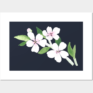 Almond Blooms Posters and Art